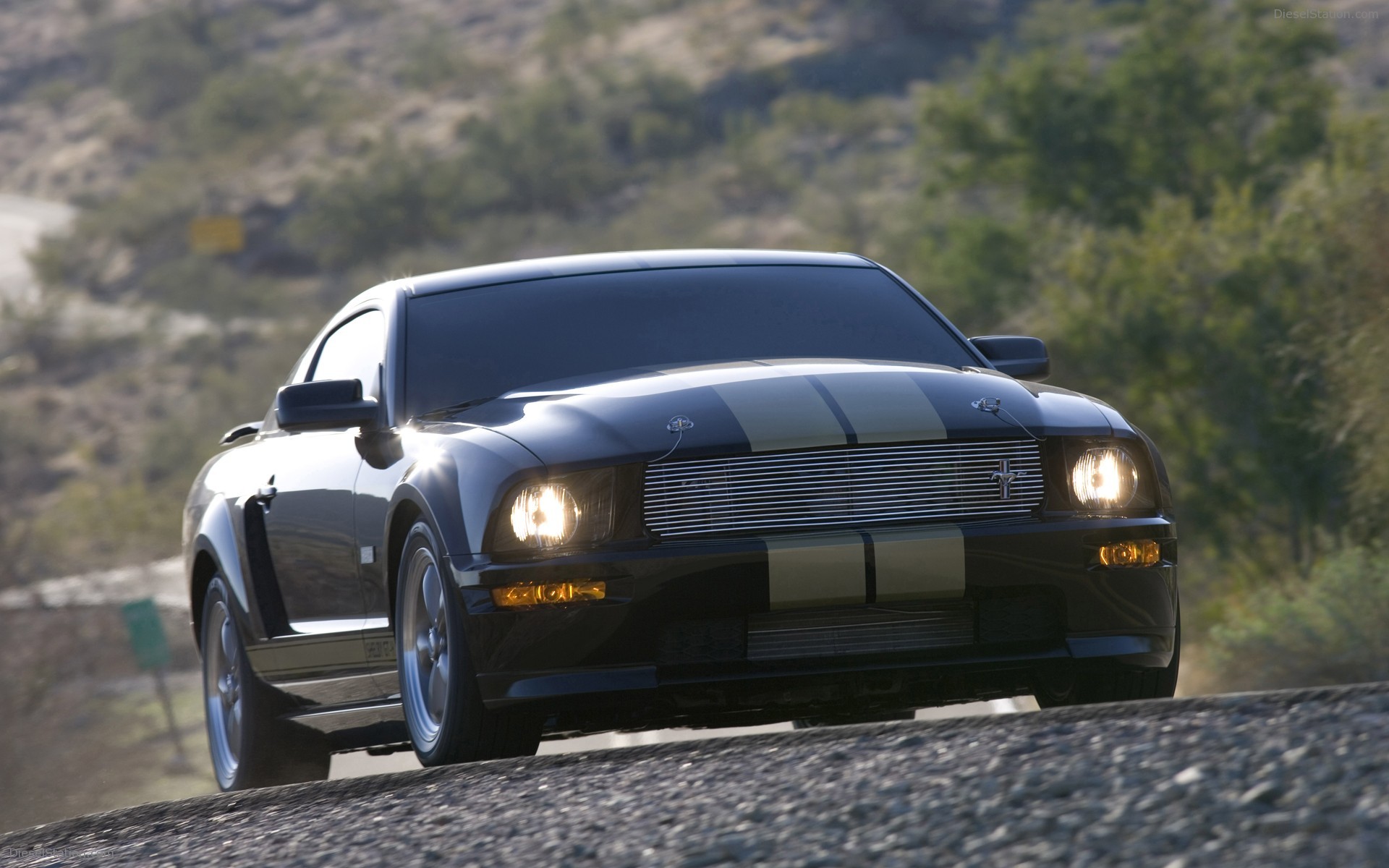Ford Shelby GT-H